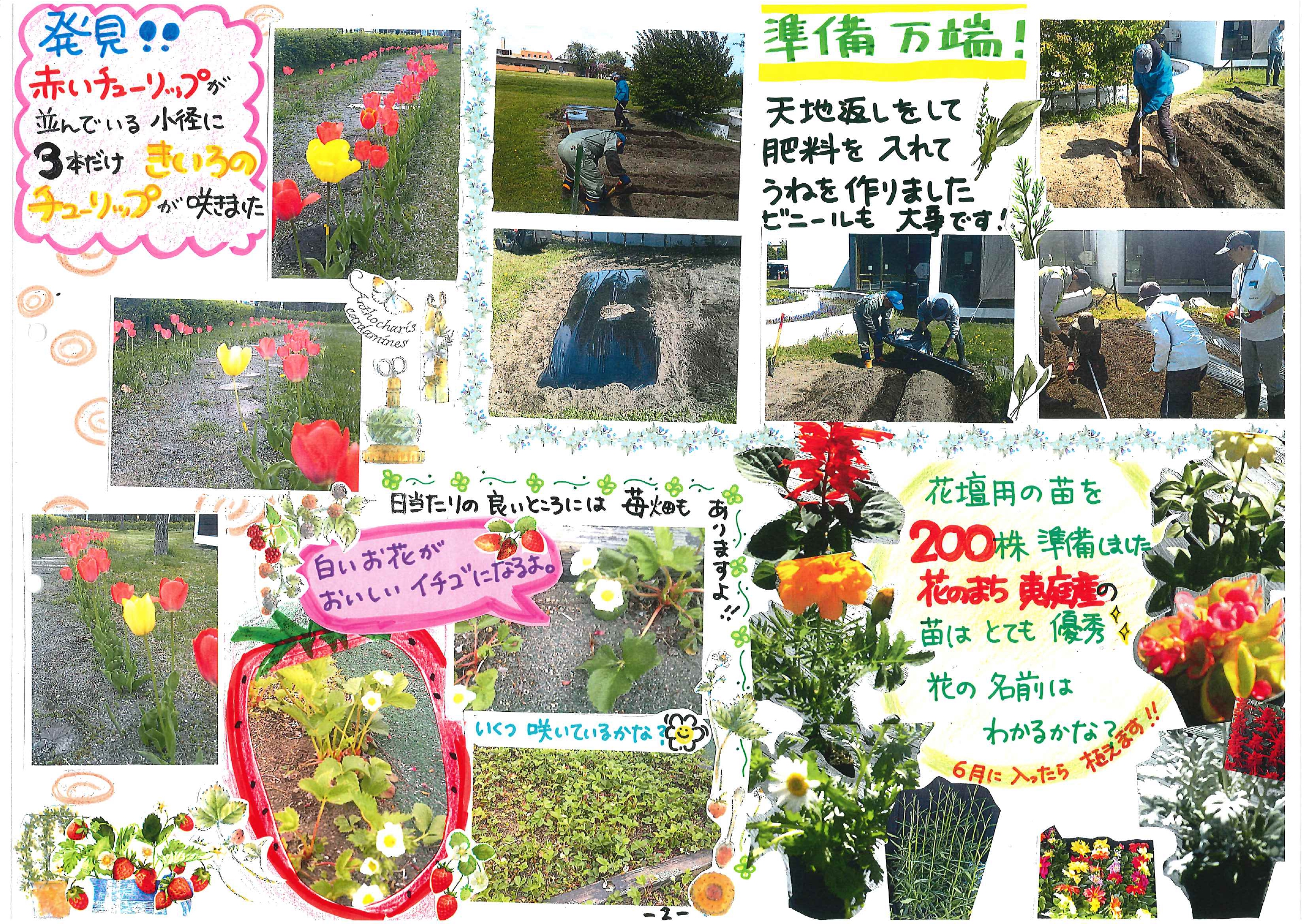 R6 チューリップ②20240614_page-0001
