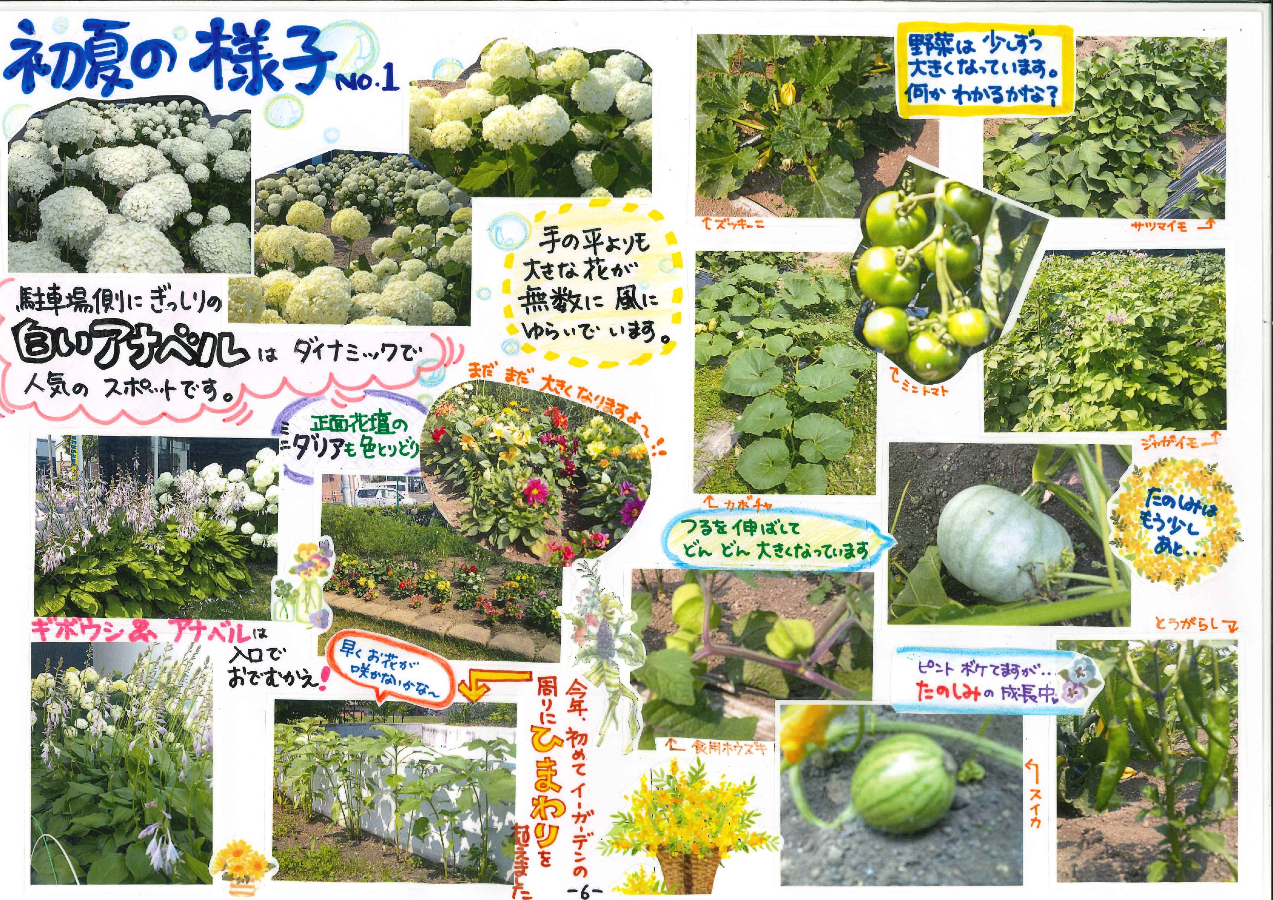 R6.9.11 ①_page-0001
