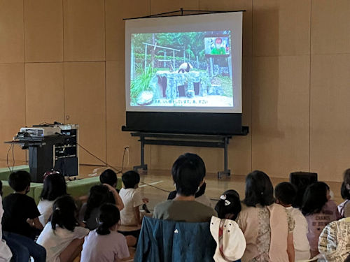 縮小１