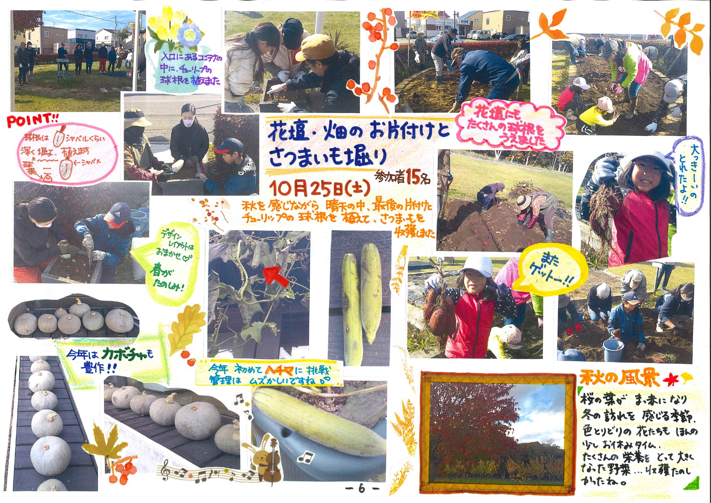 花壇・畑のお片付けとサツマイモ掘り_page-0001