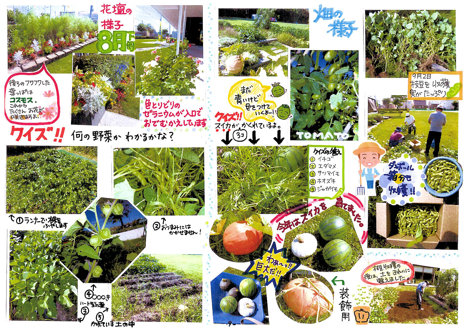 8月下旬２